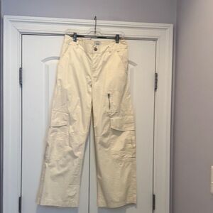 BDG Beige Wide Leg Cargo Pants